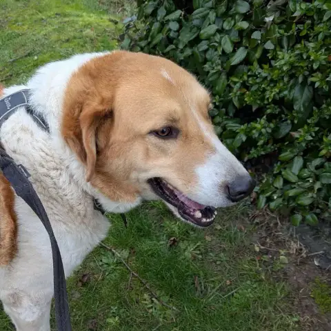 Bilbo photo 3