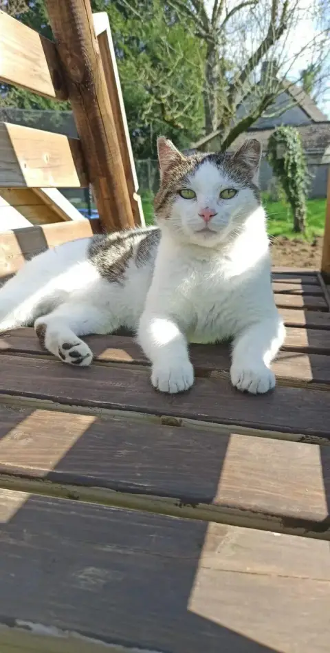 Boubouille