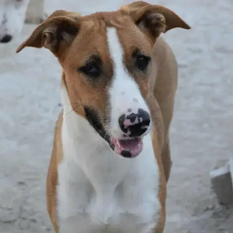 Marga photo 3