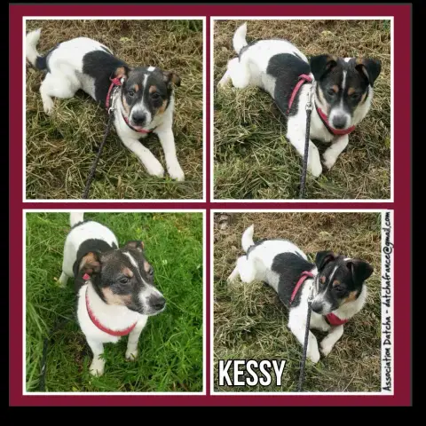 Kessy