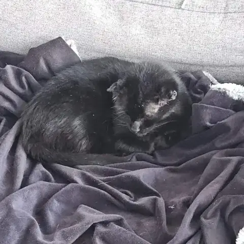 Angel photo 2