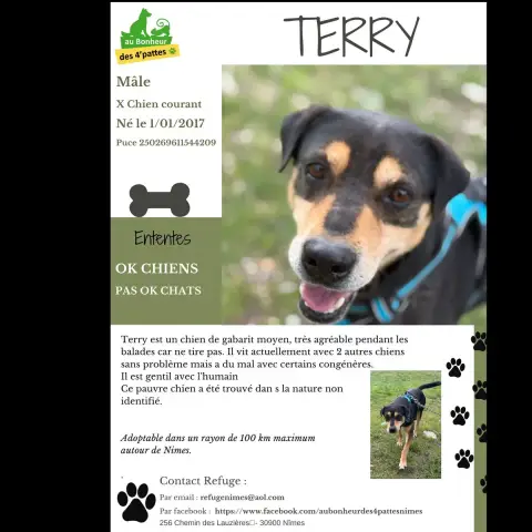 Terry