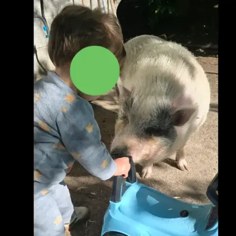 Peppa Pig photo 2