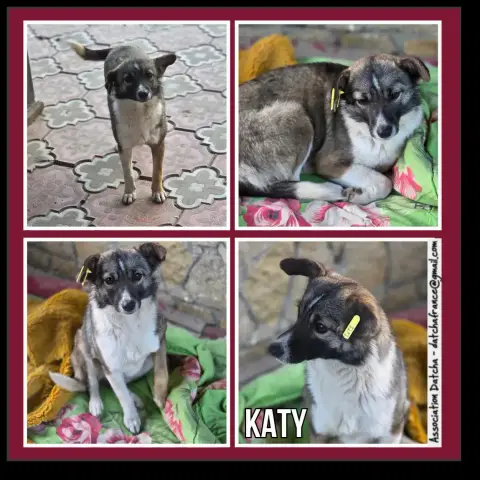 Katy
