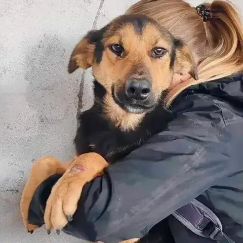 Zanela
