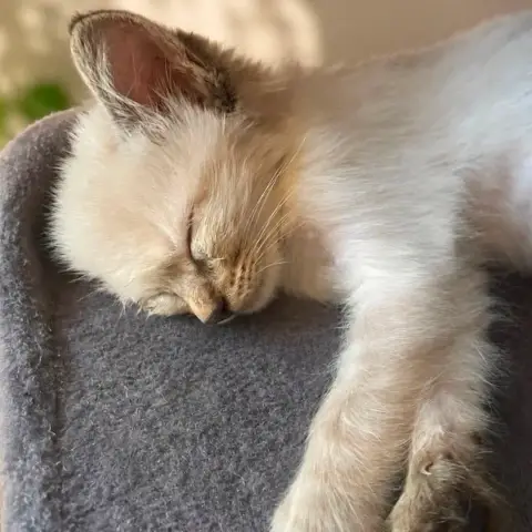 Naïra photo 2