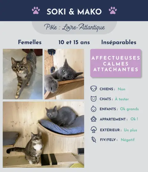Mako Et Soki