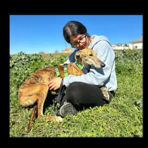 Aloe photo 2