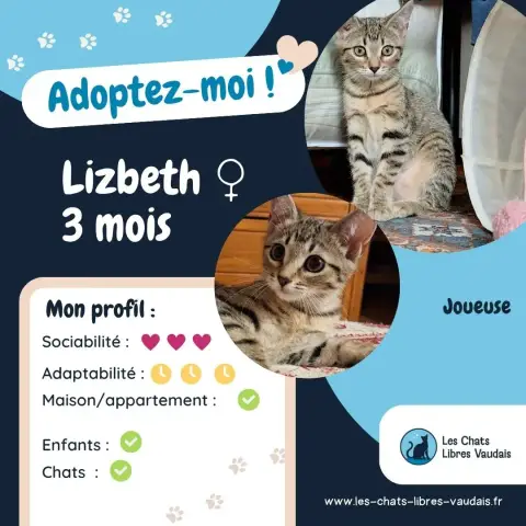 Lizbeth photo 3