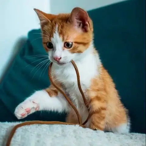 Ron
