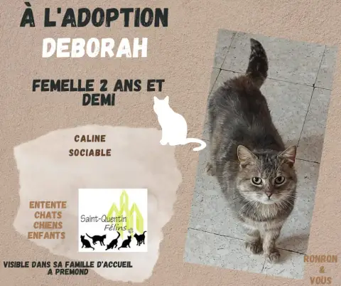 Deborah