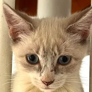 Marie