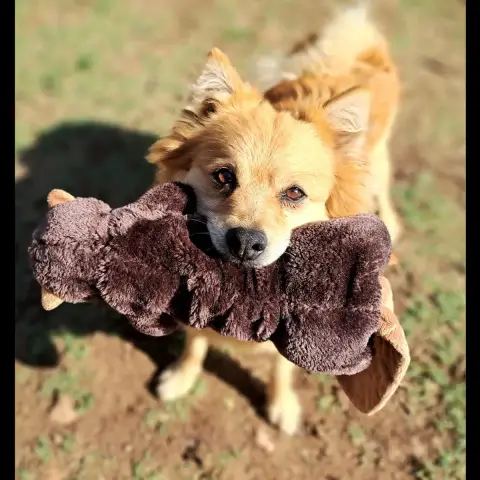 Titou photo 2