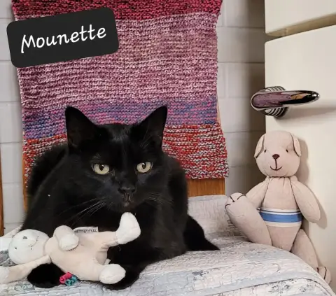 Mounette