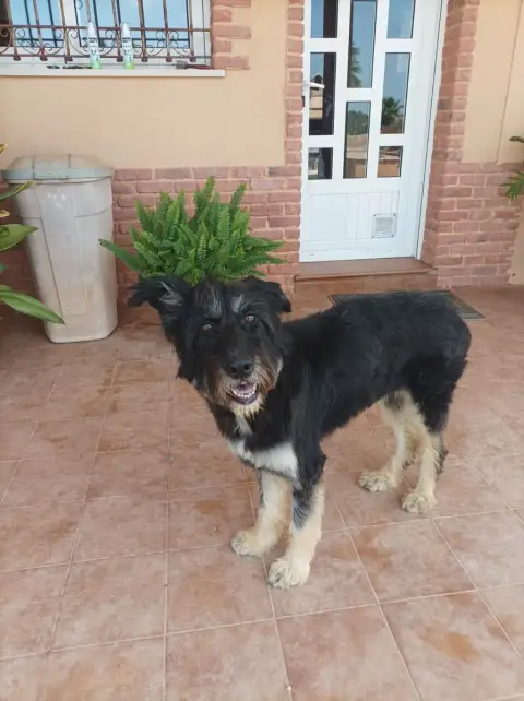 Rufina photo 3