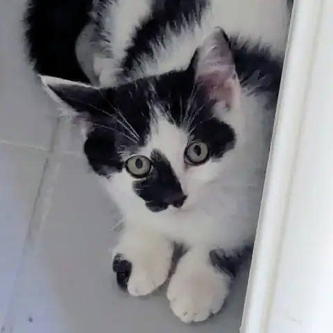 Billie