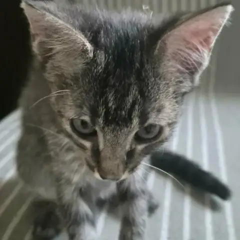 Betty