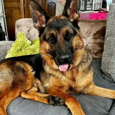 Vénus photo 3