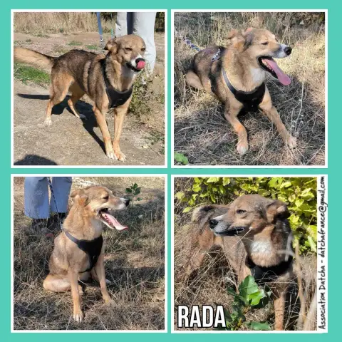 Rada