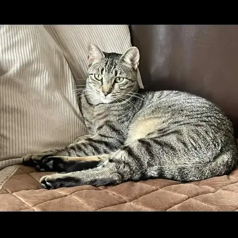 Marco photo 3