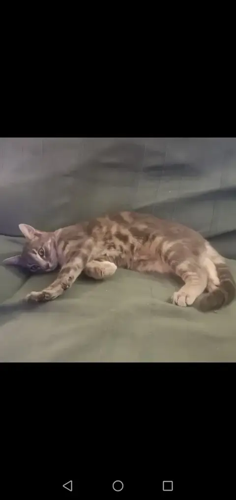 Sella