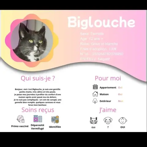 Biglouche photo 3