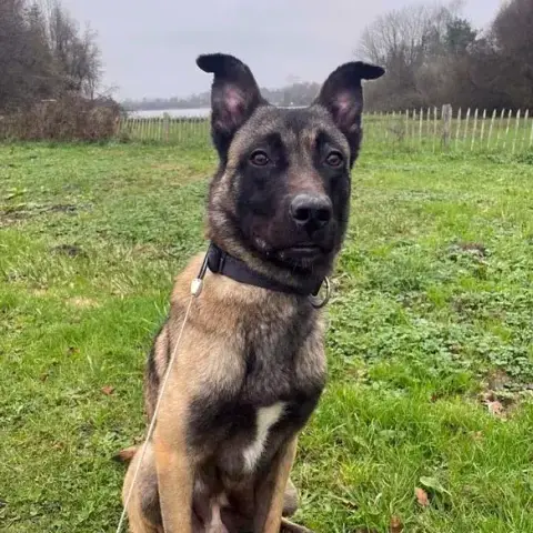 Zeus