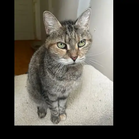 Petite Maman photo 2