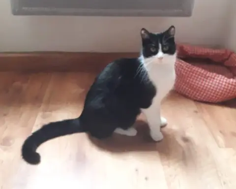 Mimi
