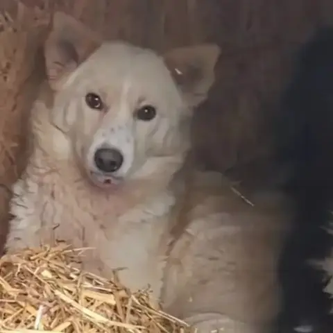 Kalia photo 2