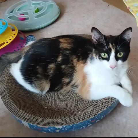 Freya