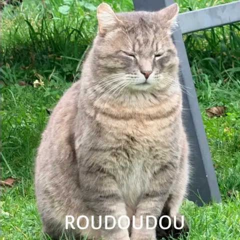 Roudoudou
