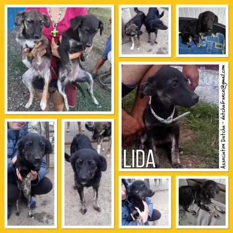Lida