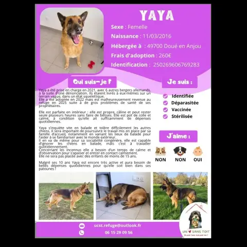 Yaya