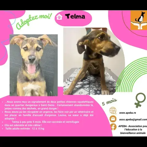 Telma