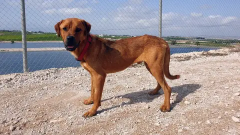 Hercules photo 2