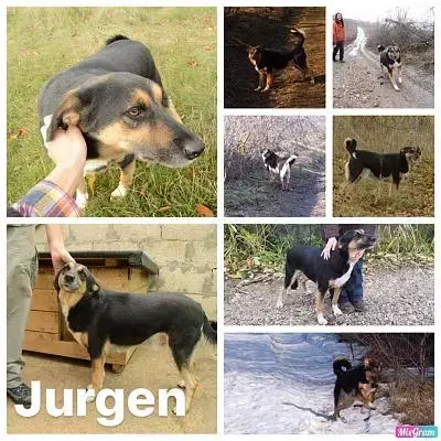 Jurgen