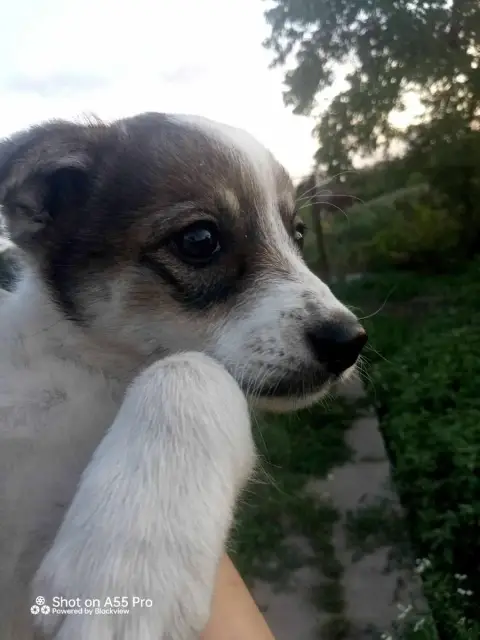 Teodor photo 3
