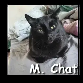 Monsieur