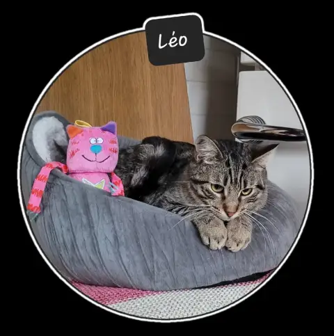 Léo