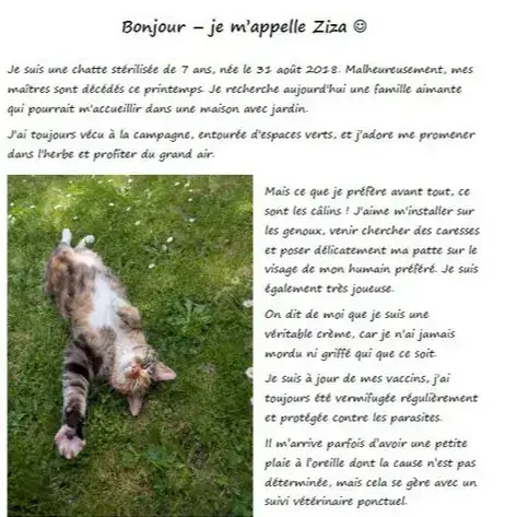 Ziza