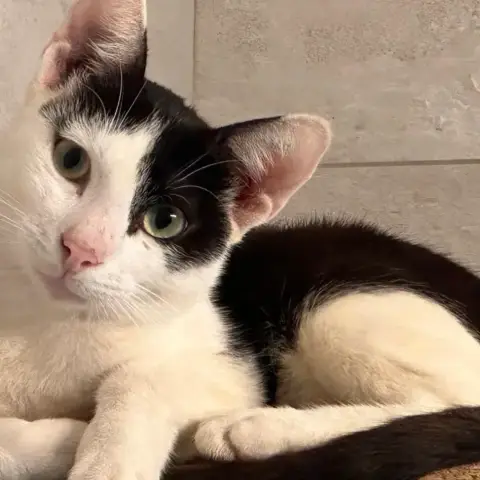 Charlie