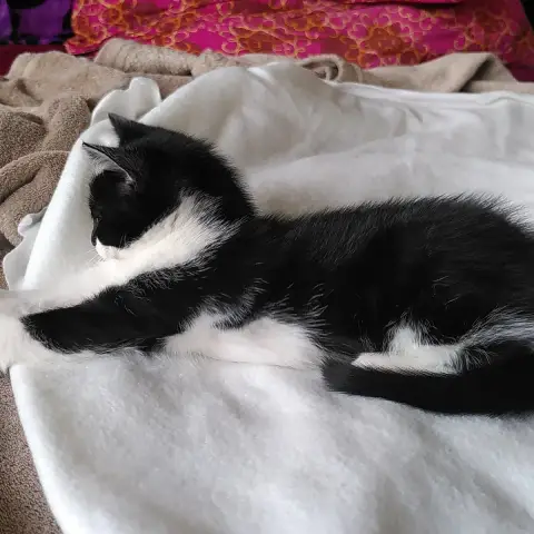Solana