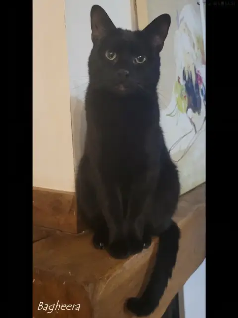 Baguerra