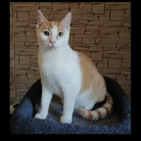 Winnie