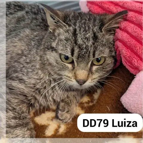 Lucy/Luiza photo 2