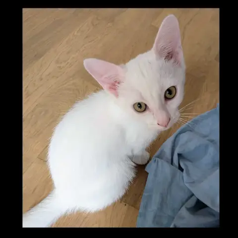 Babouchka photo 2