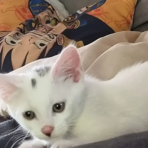 Tymmy