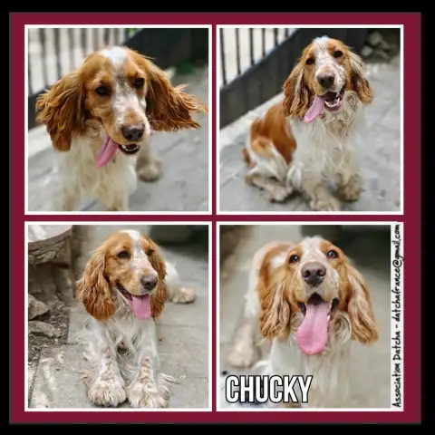 Chucky