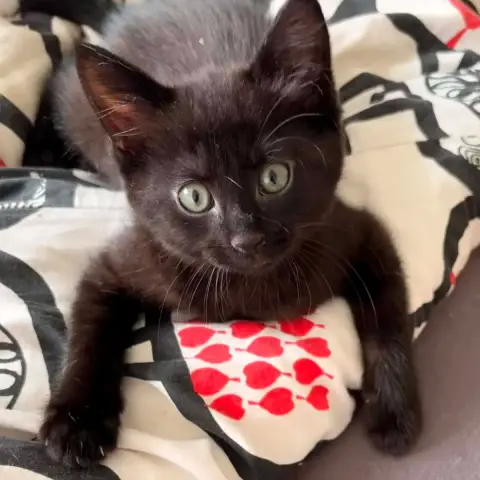 Winnie